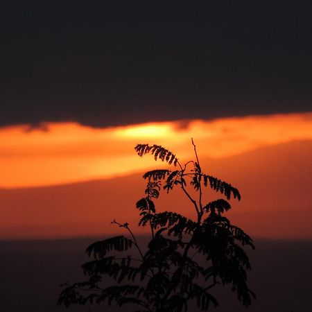 African Sunrise Lodge And Campsite Mto wa Mbu Esterno foto