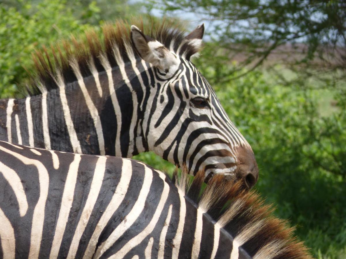 African Sunrise Lodge And Campsite Mto wa Mbu Esterno foto