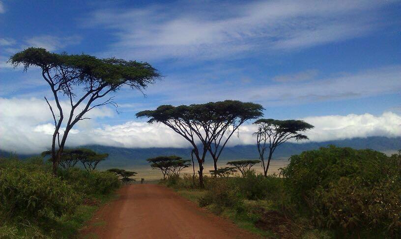 African Sunrise Lodge And Campsite Mto wa Mbu Esterno foto